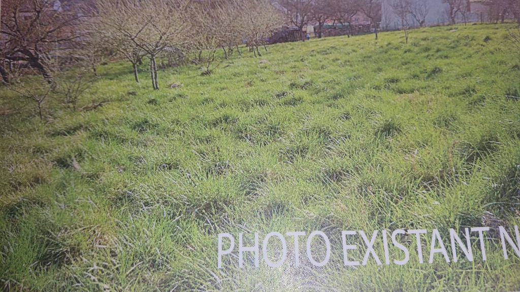 Photo LE TERRAIN à neuves-maisons à pas raté image 2/2