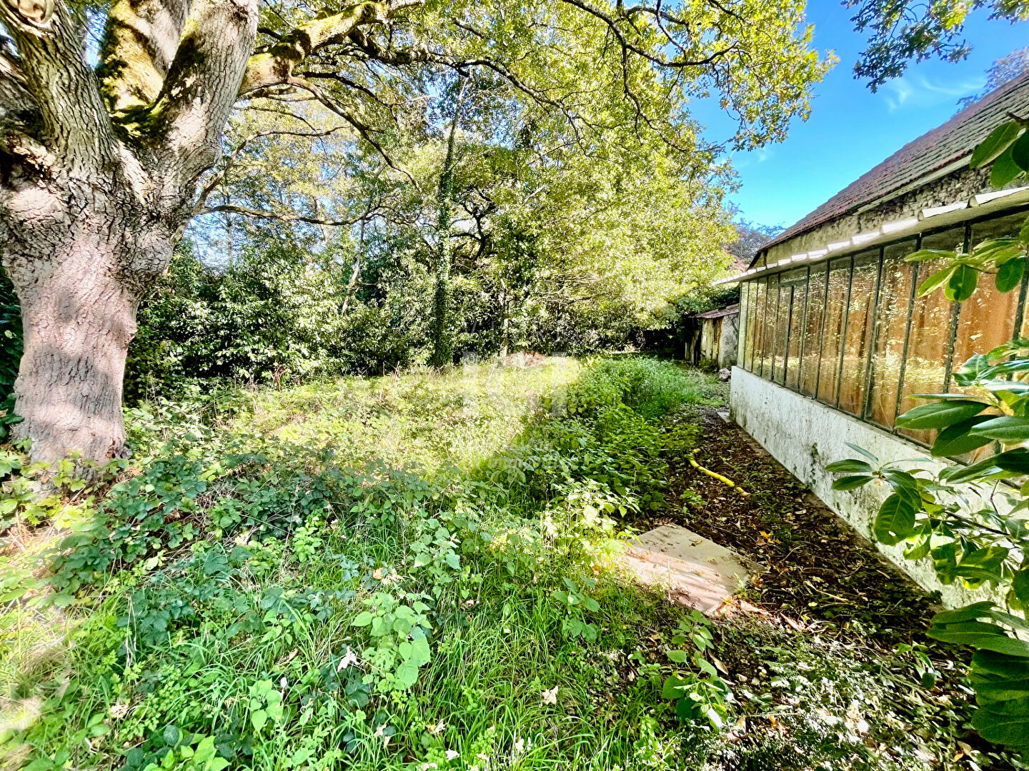 Photo LONGERE - 100M² - A RENOVER - 1400M² image 2/6