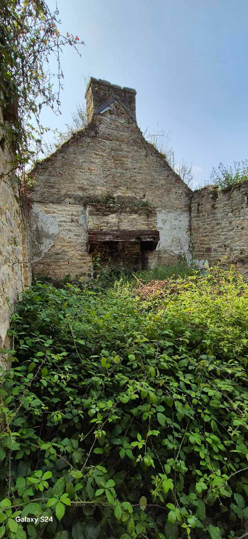 Photo Terrain La Foret Fouesnant 293m2 image 4/6
