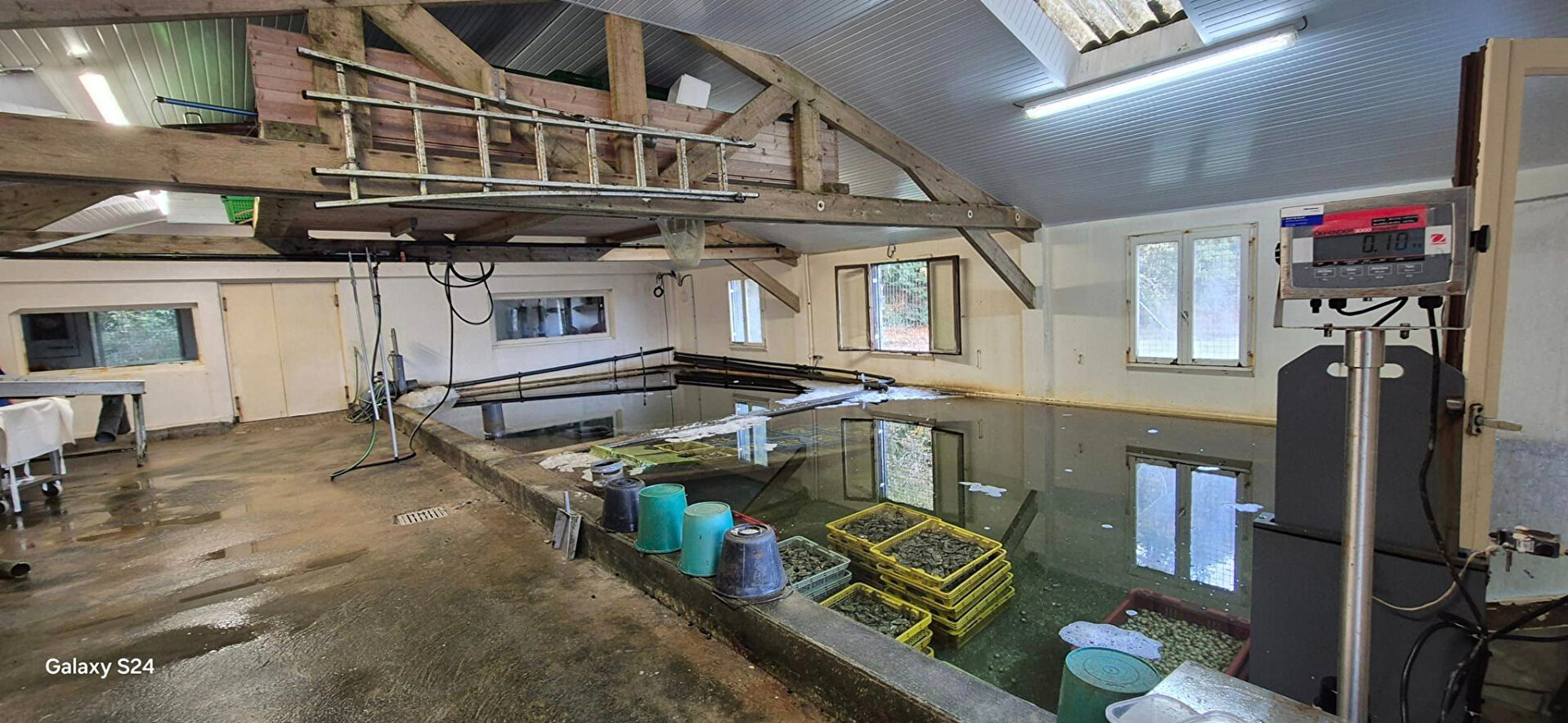 Photo Fonds de commerce Chantier de conchyliculture à Névez image 4/6