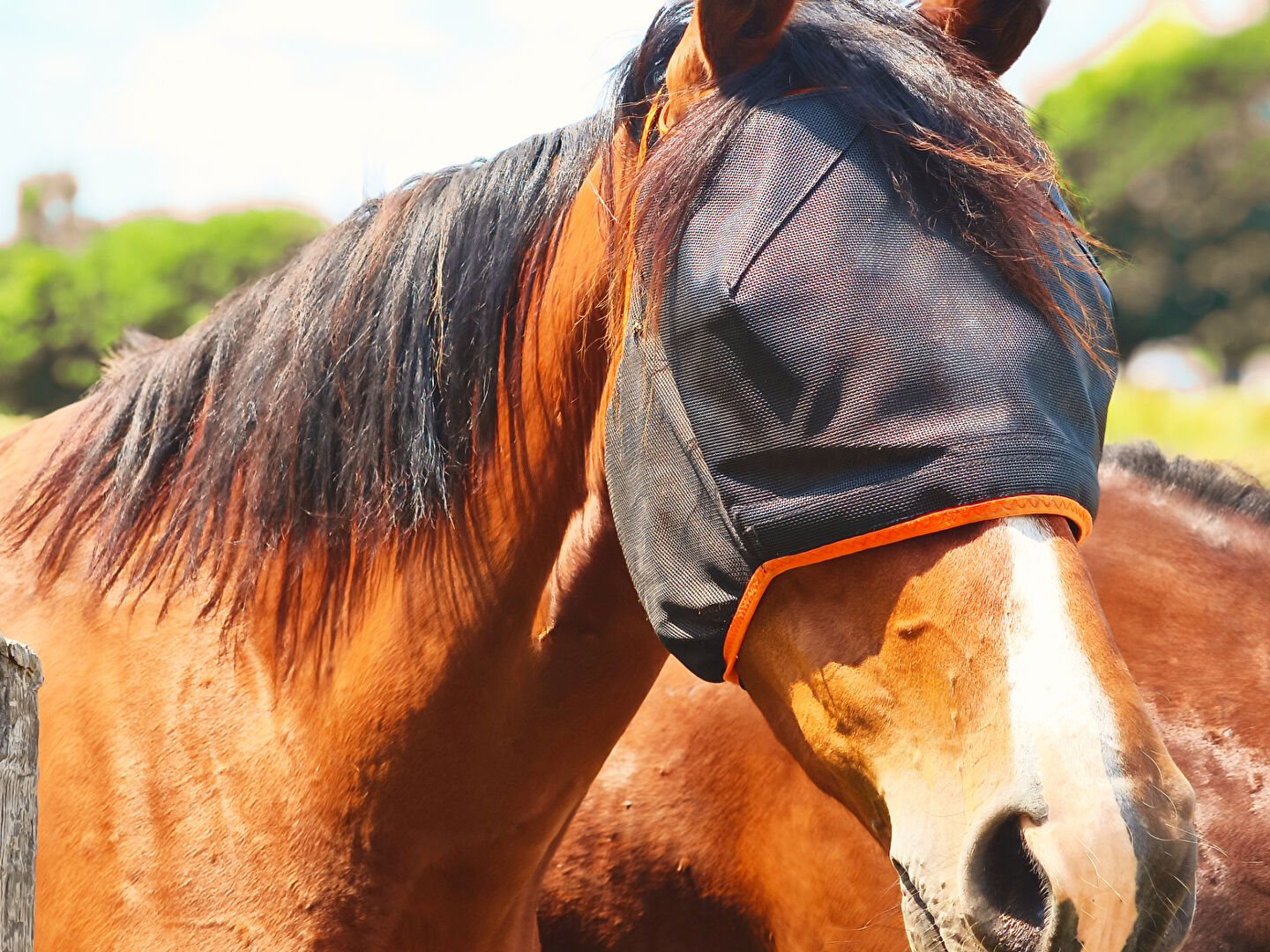 Photo Propriété d'Exception image 5/6