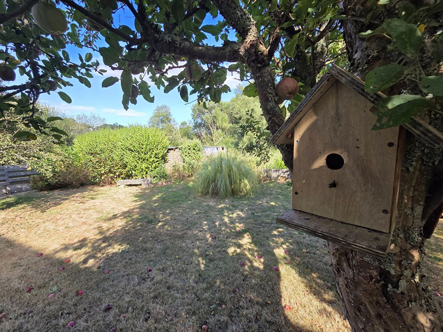 Photo Maison Tregunc 5 pièce(s) 126 m2 image 4/6