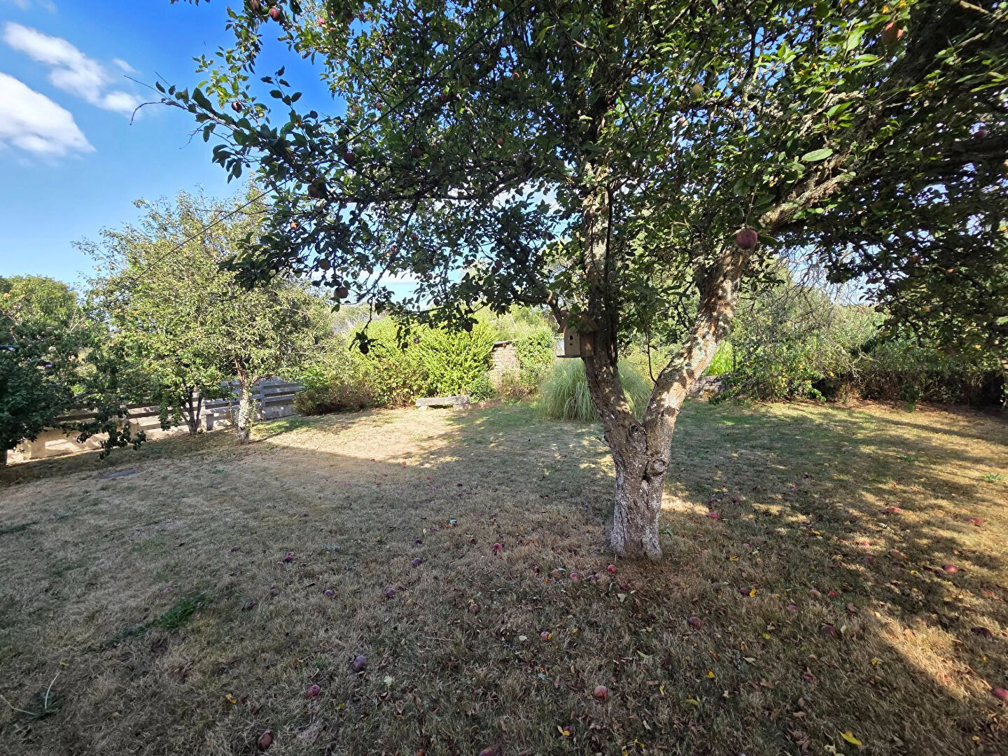 Photo Maison Tregunc 5 pièce(s) 126 m2 image 6/6