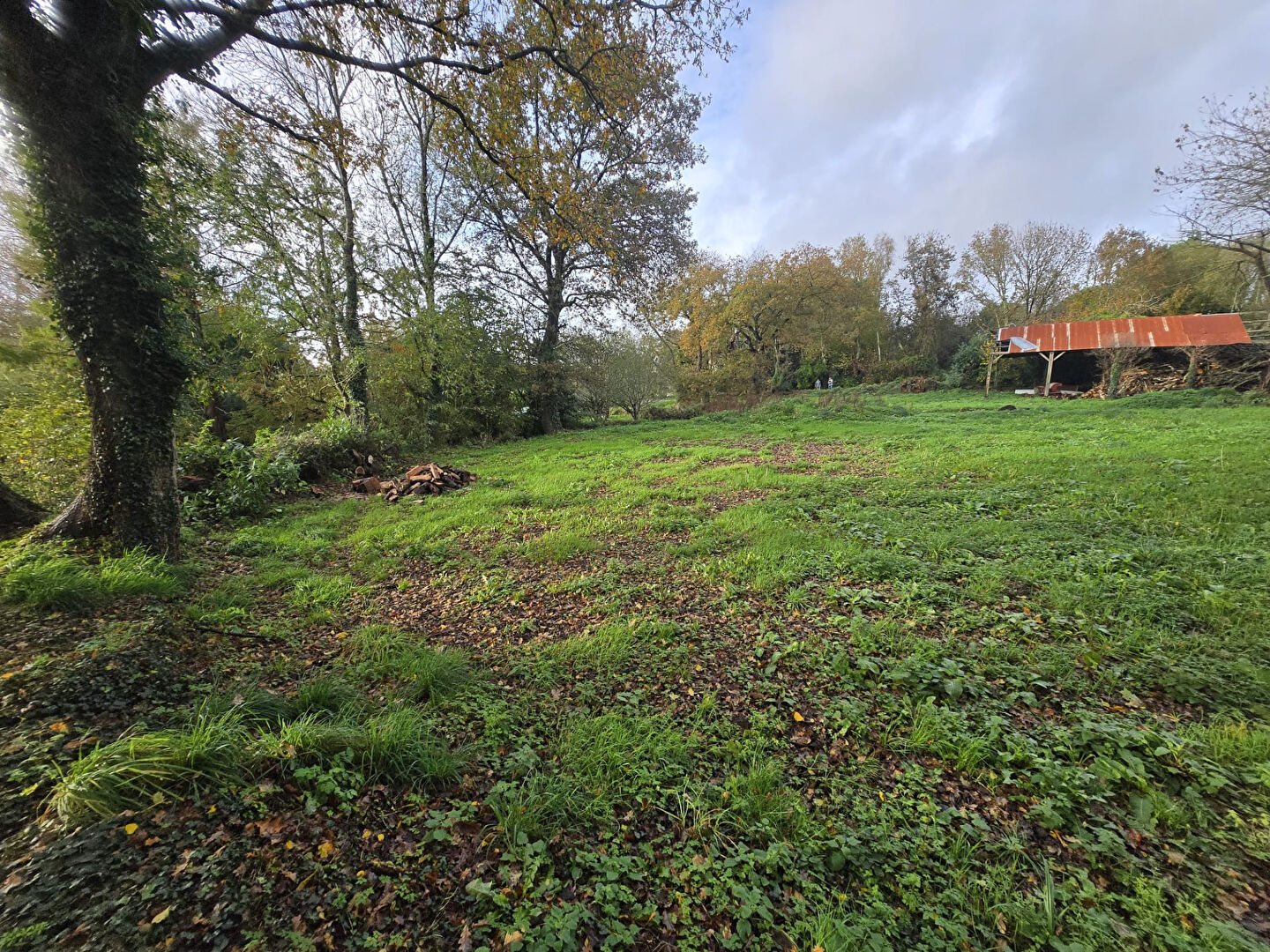 Photo Terrain Baye 1290 m2 image 1/6