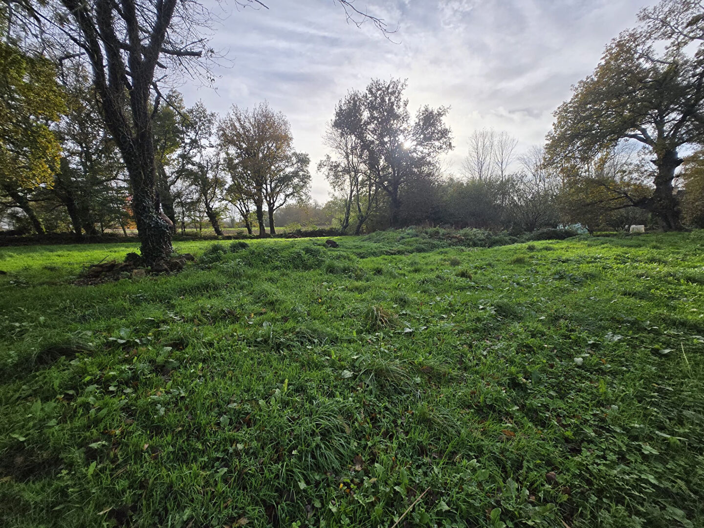 Photo Terrain Baye 1290 m2 image 2/6