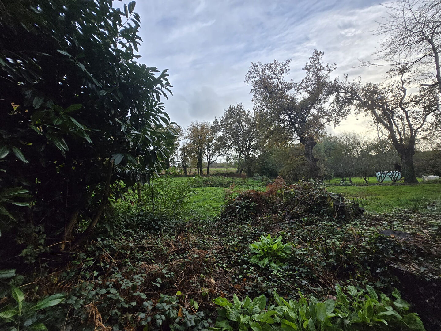 Photo Terrain Baye 1290 m2 image 3/6