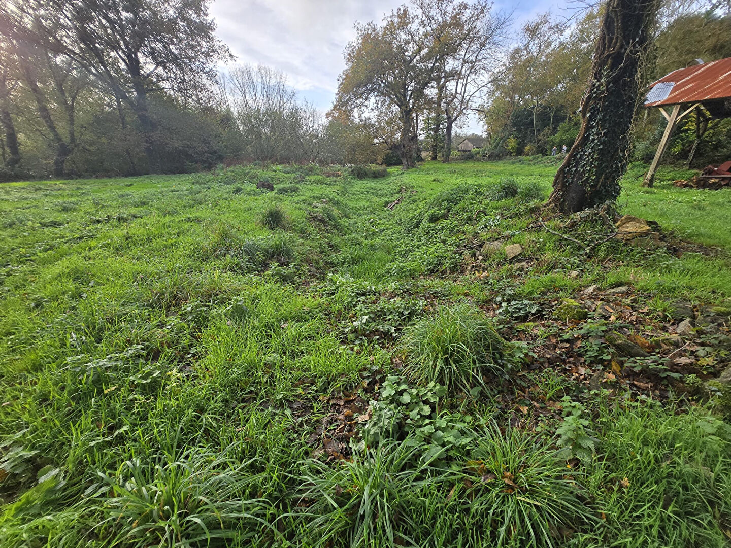 Photo Terrain Baye 1290 m2 image 5/6