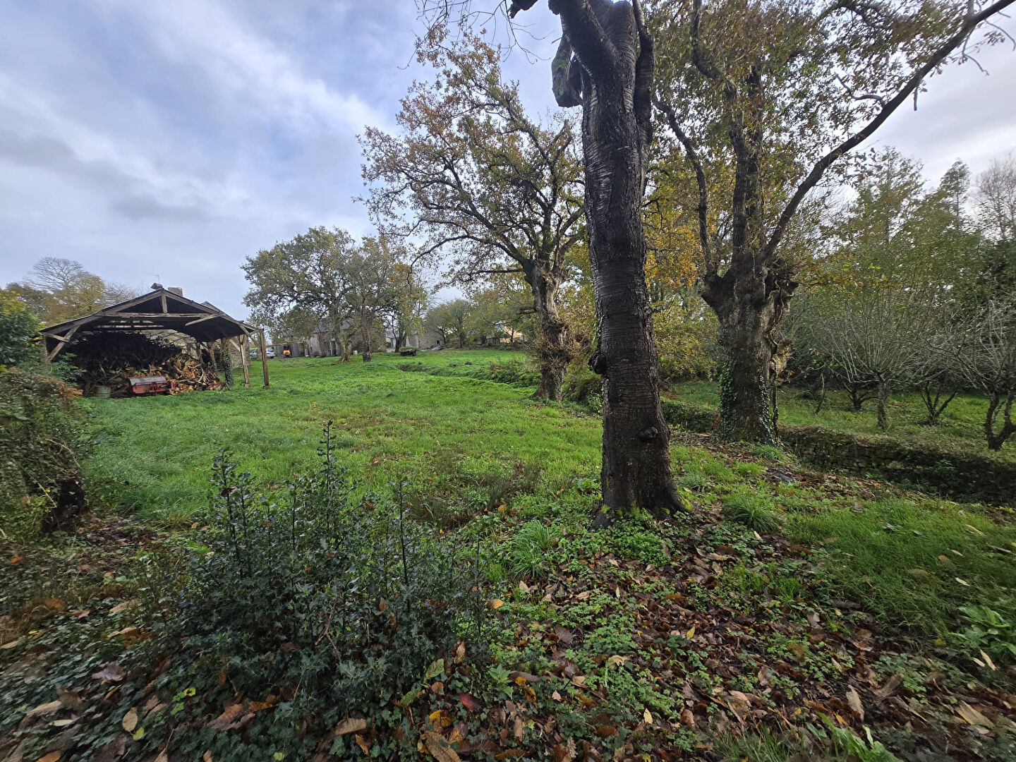 Photo Terrain Baye 1290 m2 image 6/6