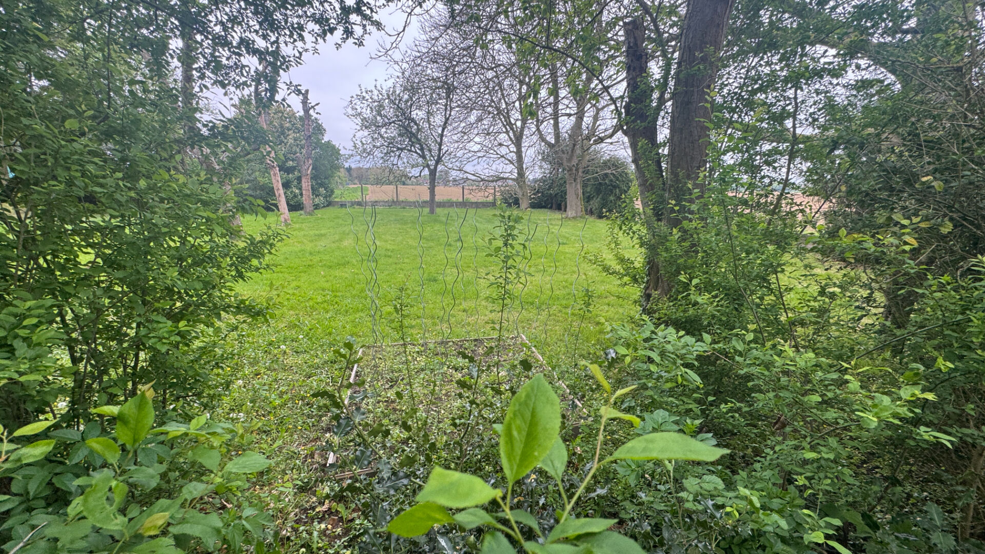 Agence immobilière de WEPPES IMMO Beaucamps