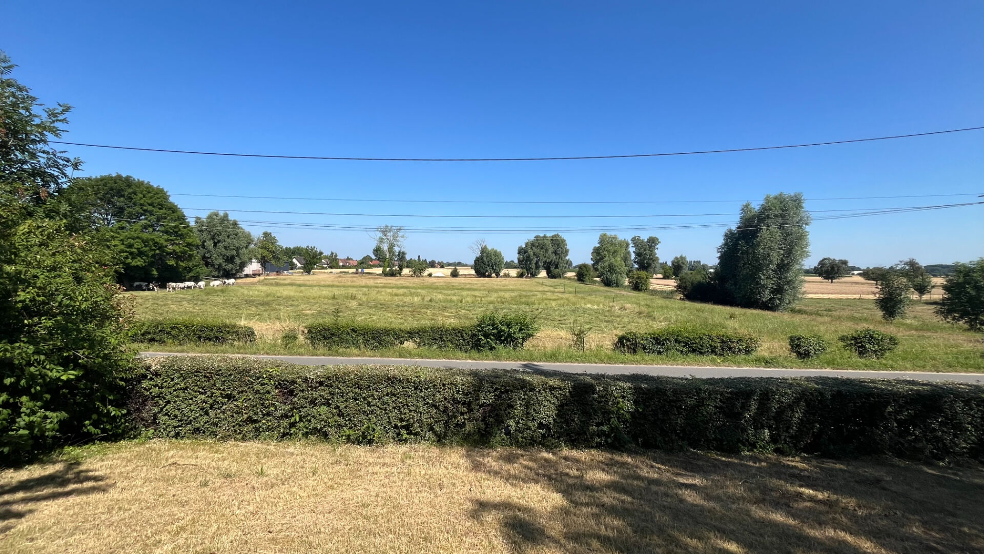 Agence immobilière de WEPPES IMMO Beaucamps