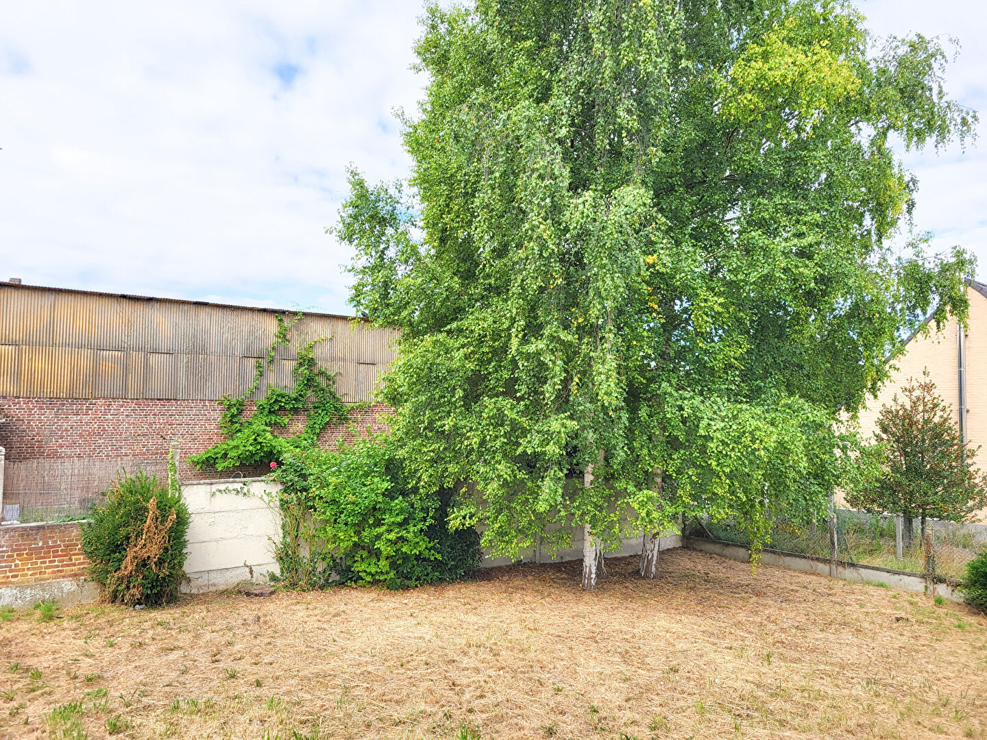 Agence immobilière de Willame Immobilier