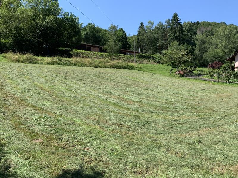 Photo TERRAIN CONSTRUCTIBLE VILLE - 1097 m2 image 2/4