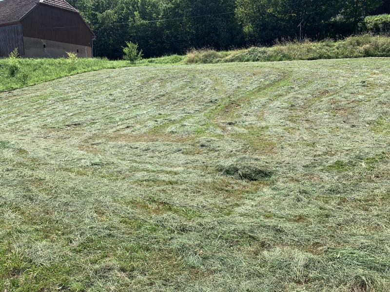 Photo TERRAIN CONSTRUCTIBLE VILLE - 1097 m2 image 3/4