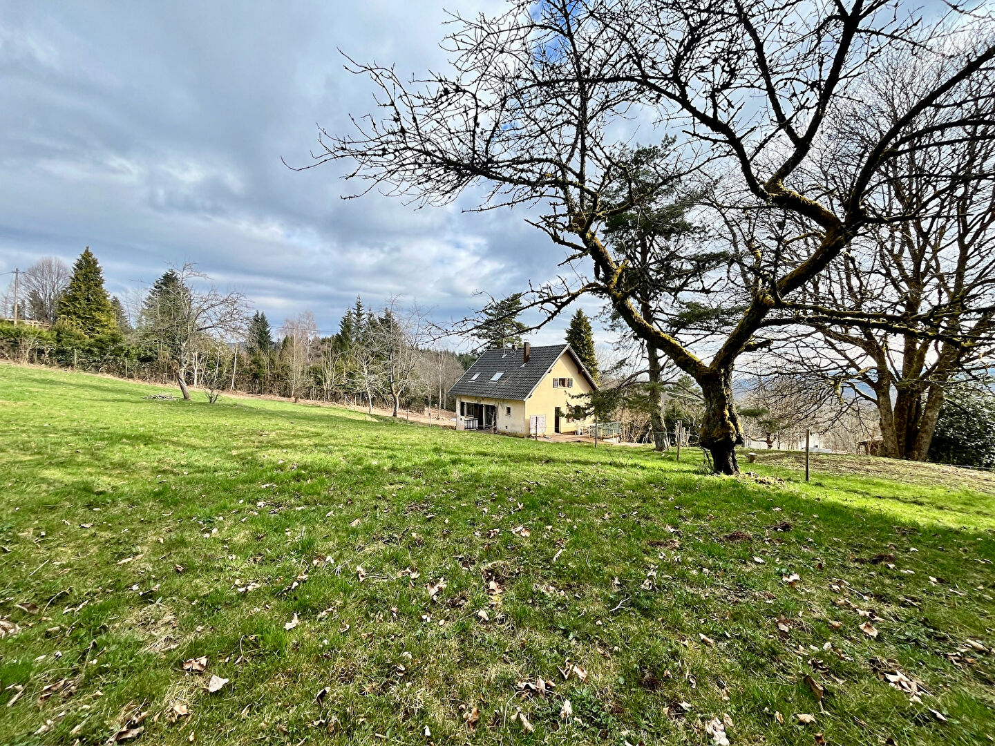 Agence immobilière de 4% immobilier Schirmeck