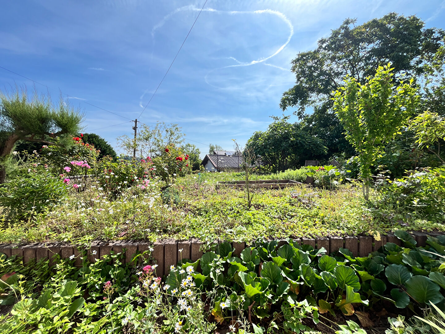 Photo Exclusivité - Maison individuelle avec potentiel d'aménagement - Lutzelhouse (hauteurs) image 1/6