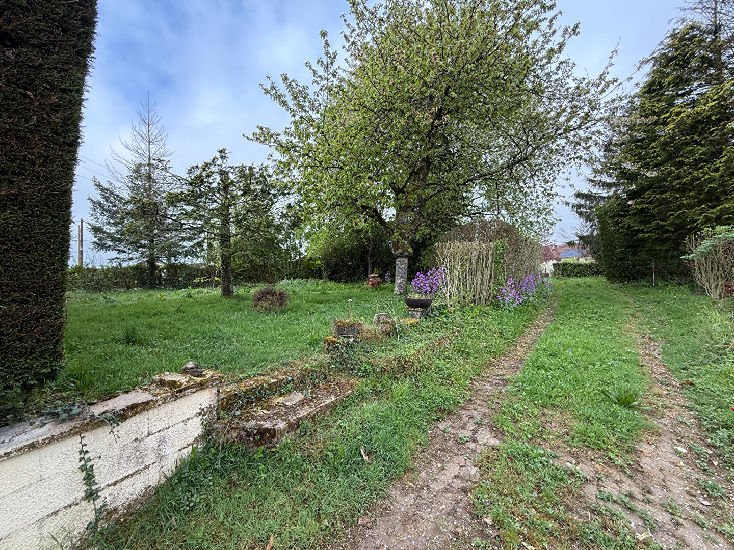 Photo Terrain à vendre RELANS / 1320 m² image 4/4