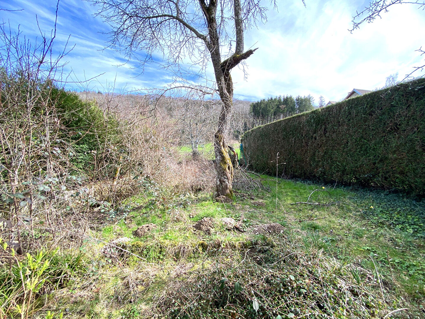 Photo Maison 3 pièces / 89 m² / 2 chambres / garage image 6/6