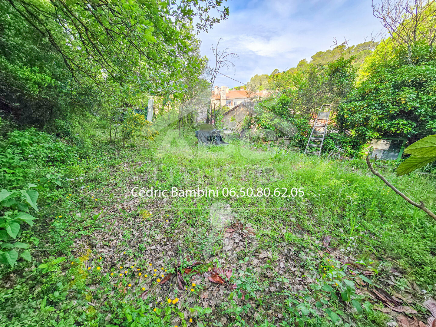 Photo Terrain constructible de 447 m² sur Tourves image 2/6