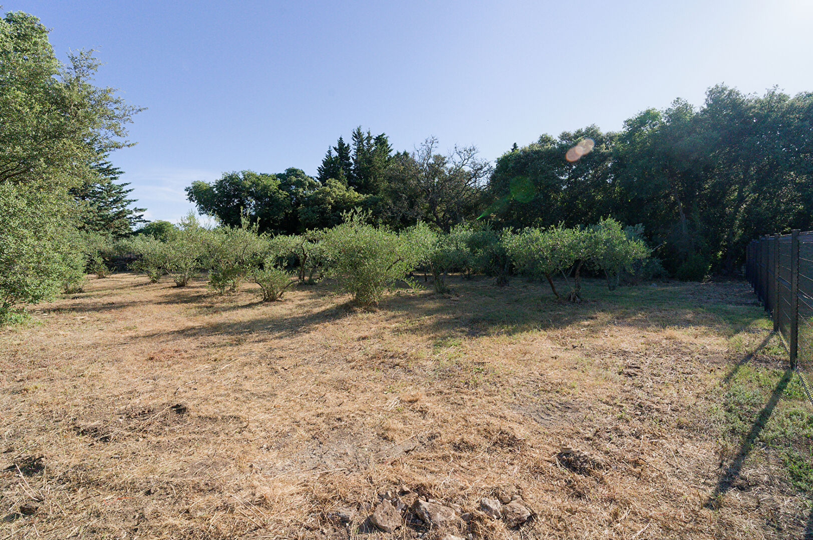 Agence immobilière de ABC IMMO ST MAXIMIN LA STE BAUME