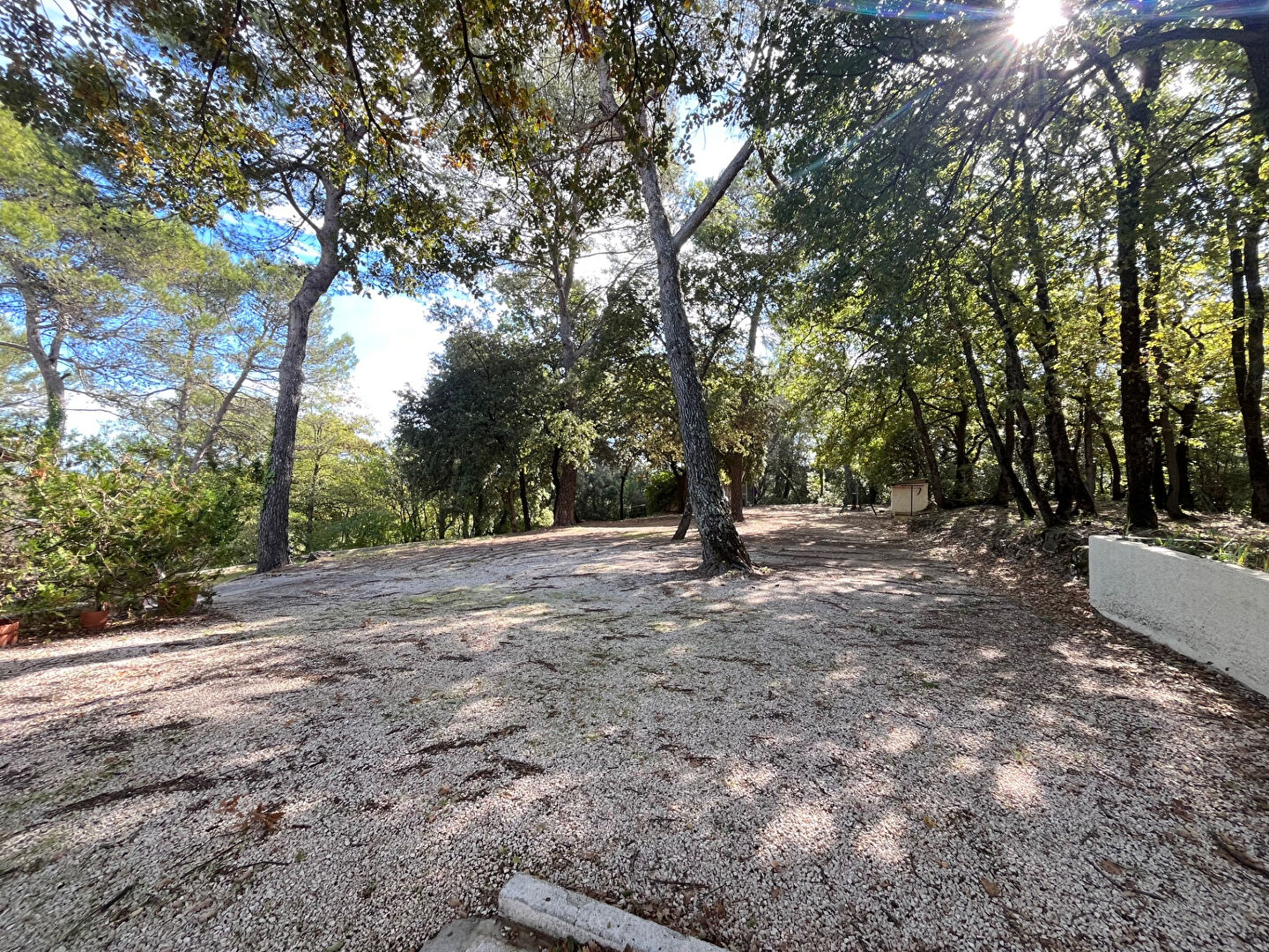 Photo Maison à louer à Saint Maximin la Sainte Baume - Réf. 1534 image 2/6