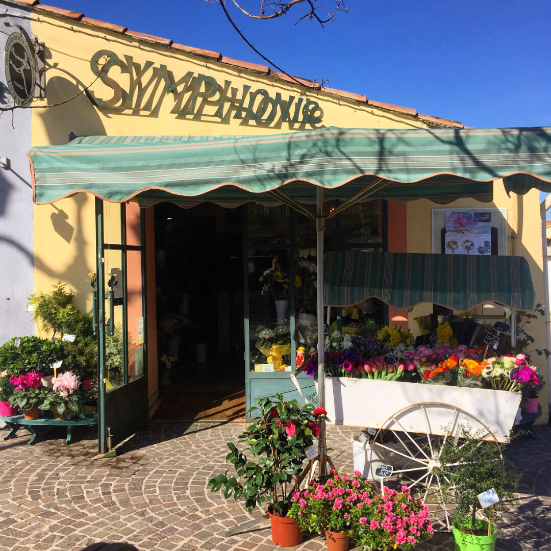 Agence immobilière de ABC IMMO ST MAXIMIN LA STE BAUME