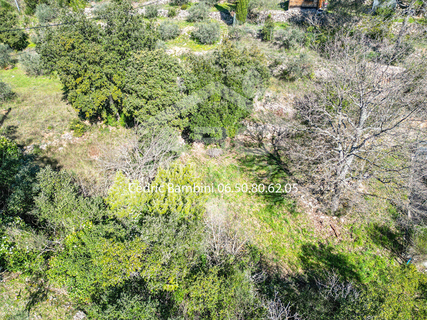 Agence immobilière de ABC IMMO ST MAXIMIN LA STE BAUME