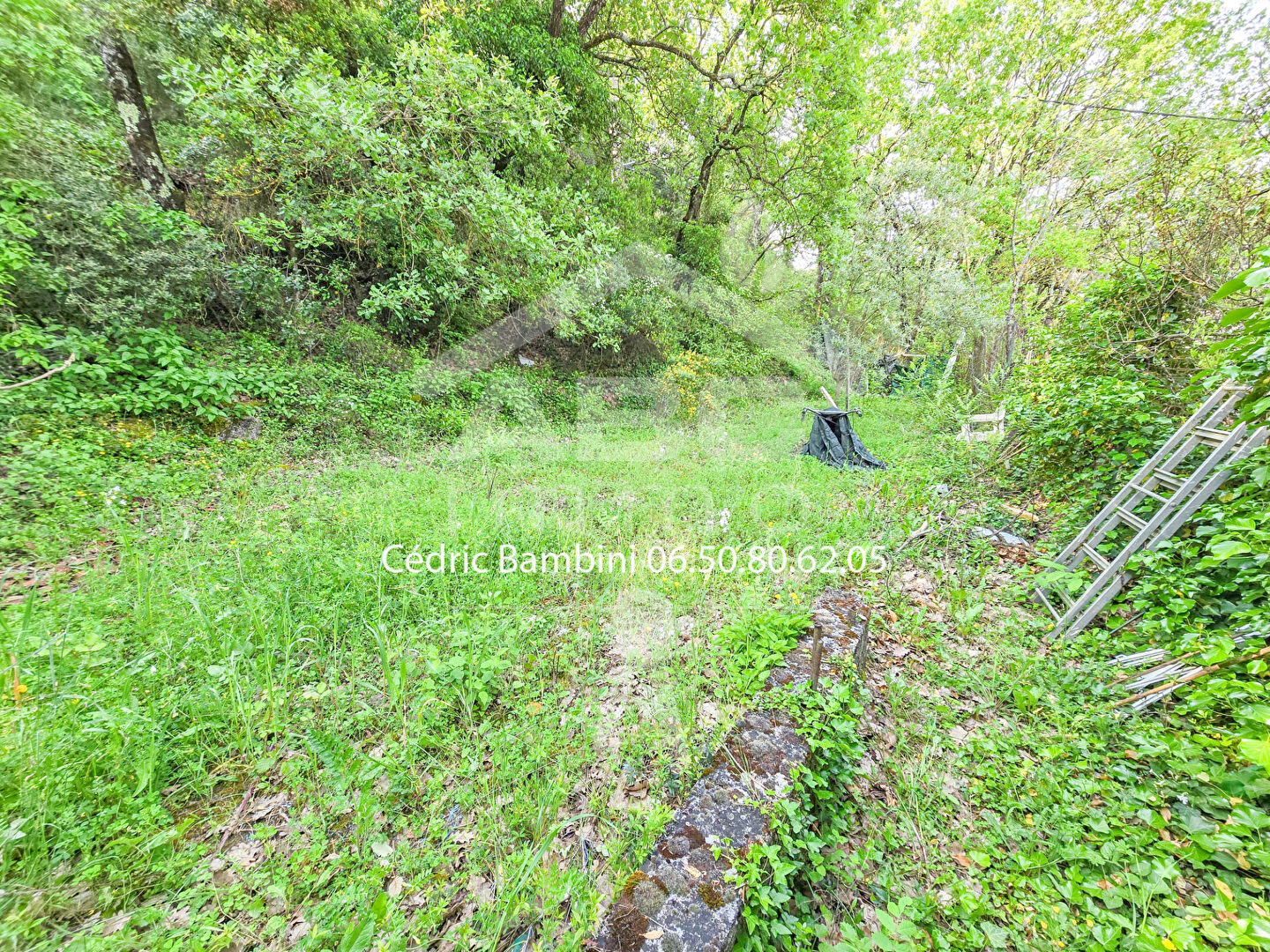 Agence immobilière de ABC IMMO ST MAXIMIN LA STE BAUME