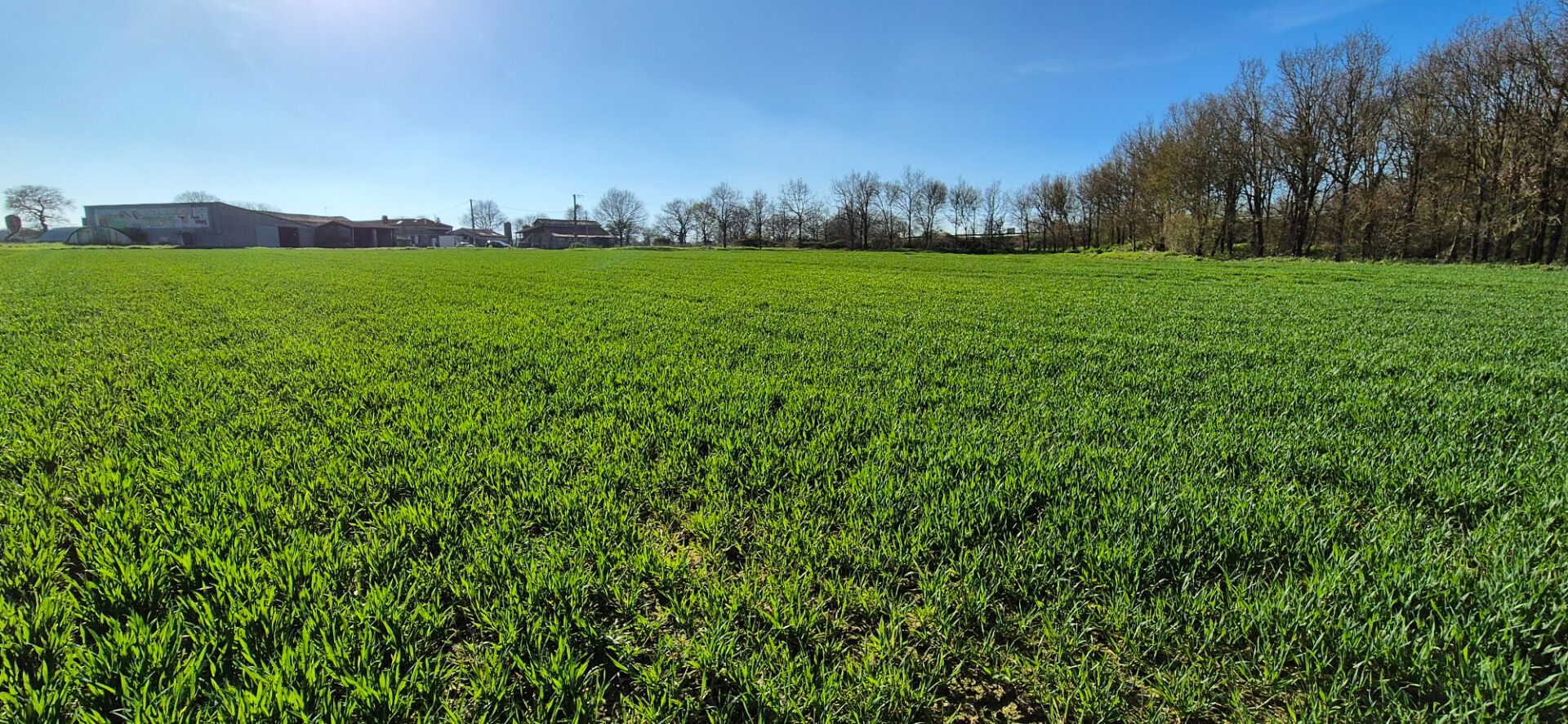 Agence immobilière de ABL Immobilier Aigrefeuille sur maine