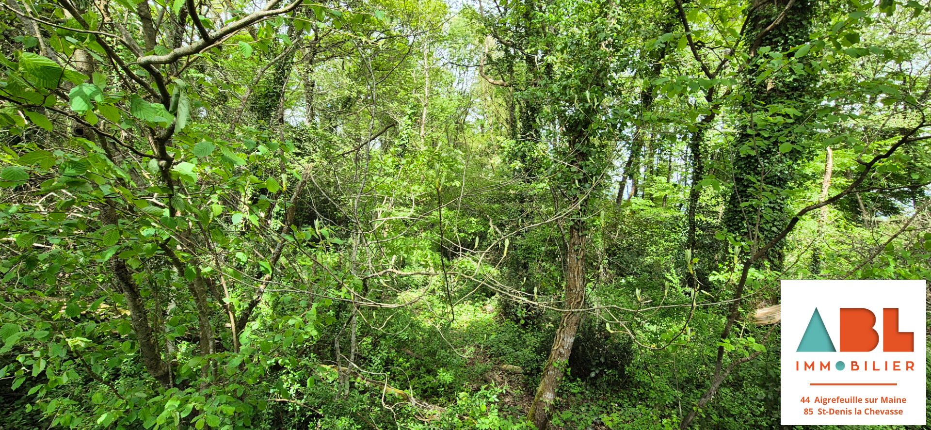 Agence immobilière de ABL Immobilier Aigrefeuille sur maine