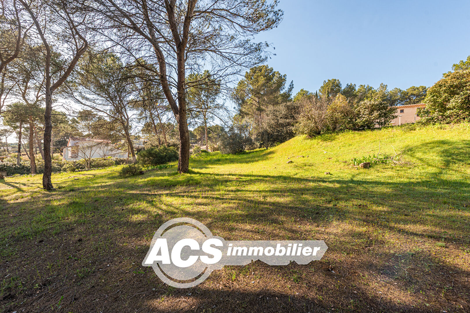 Photo Achat Vente Maison Villa Type 7 197.23 Garage Jardin 5244m² Piscine image 6/6