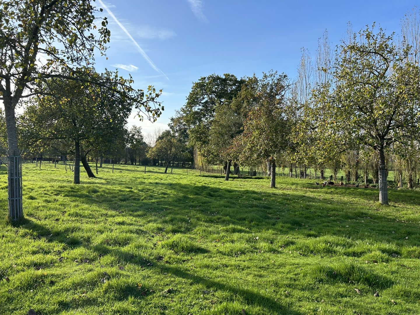 Agence immobilière de ACT-For Business Granville - En Aparté