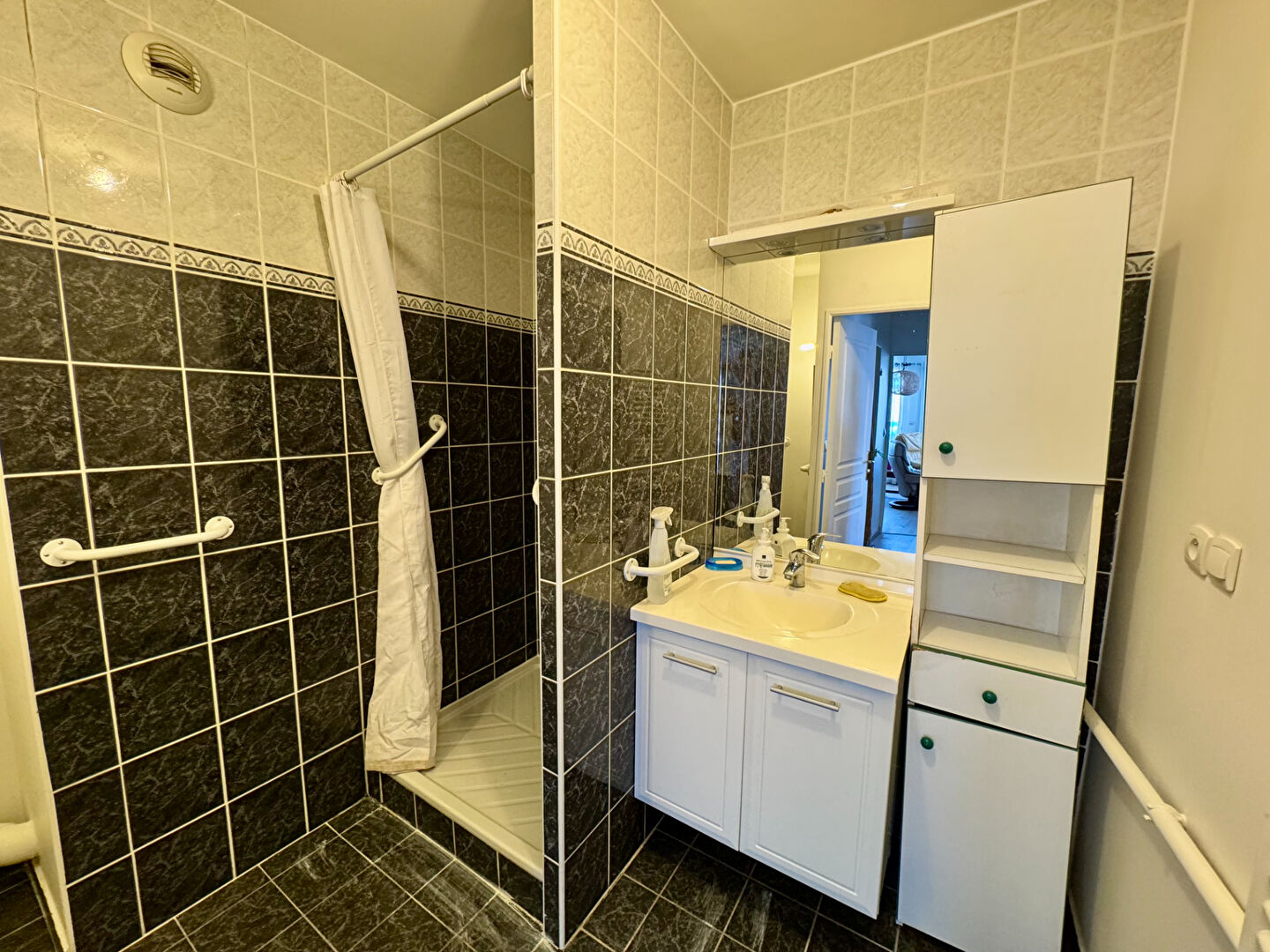 Photo Appartement Decines Charpieu 4 pièce(s) 129.32 m2 image 6/6