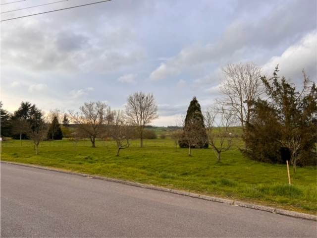 Agence immobilière de AFTER Immobilier