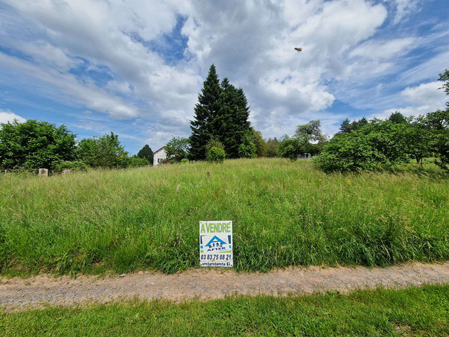 Agence immobilière de AFTER Immobilier