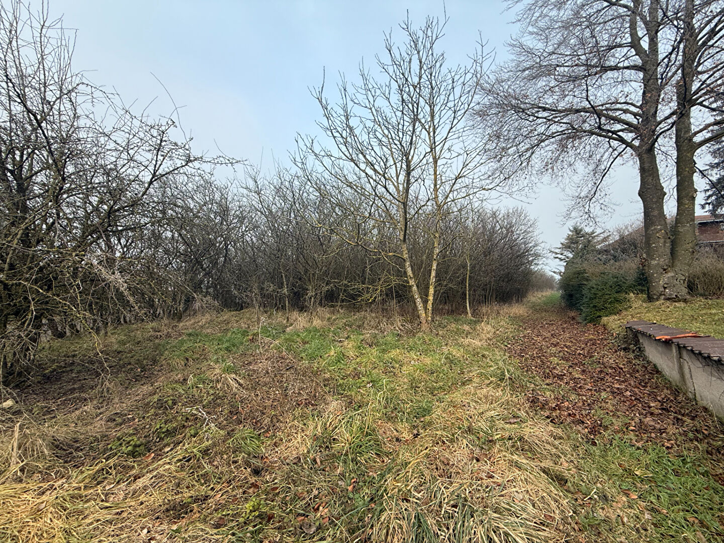 Agence immobilière de AFTER Immobilier