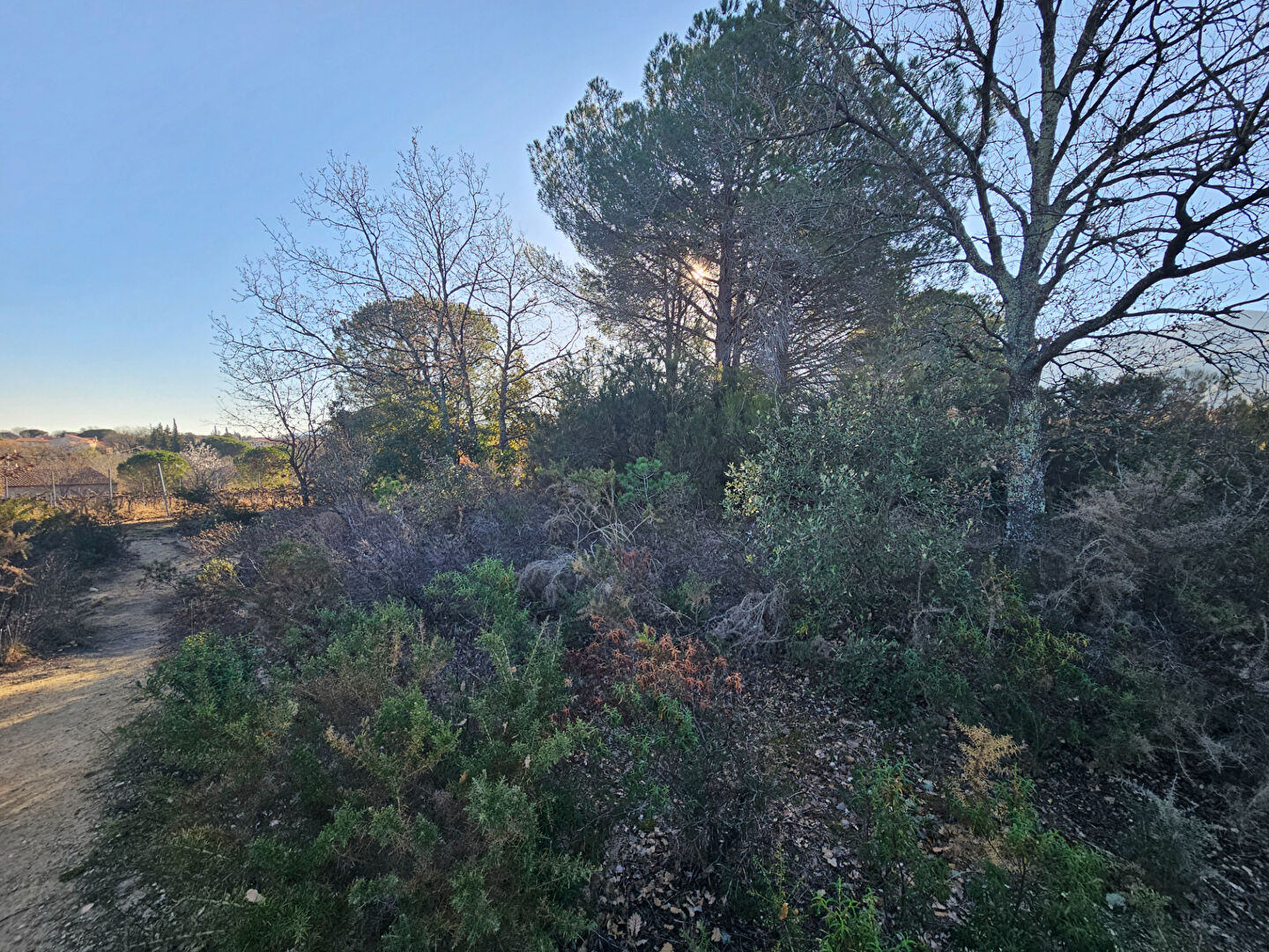 Photo VILLELONGUE DELS MONTS image 2/4