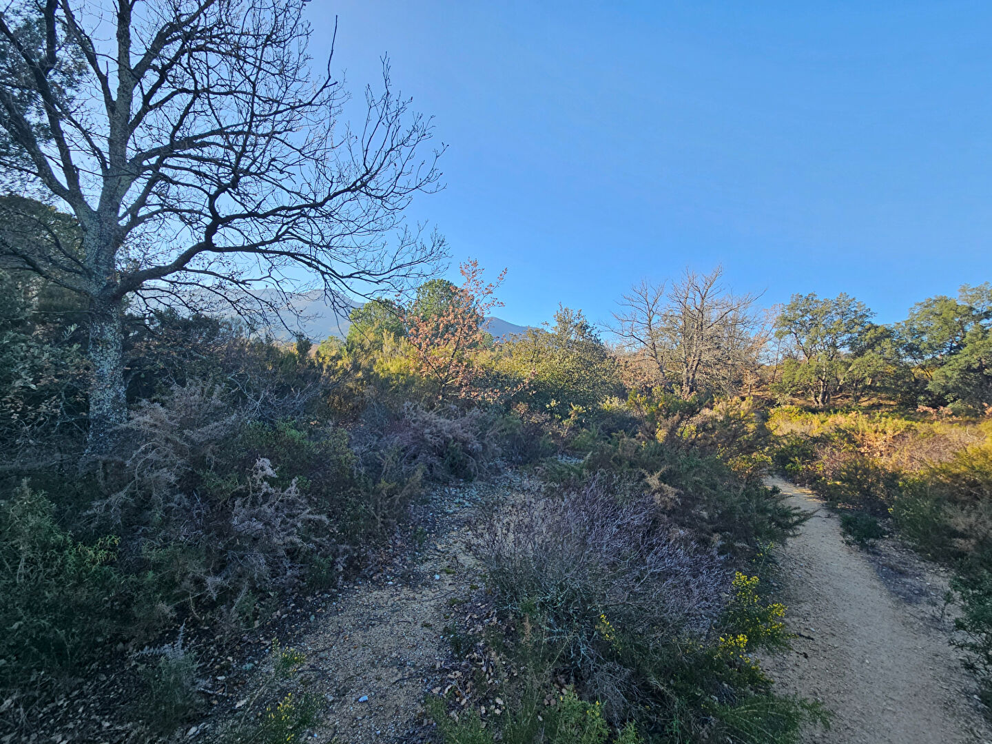 Photo VILLELONGUE DELS MONTS image 3/4