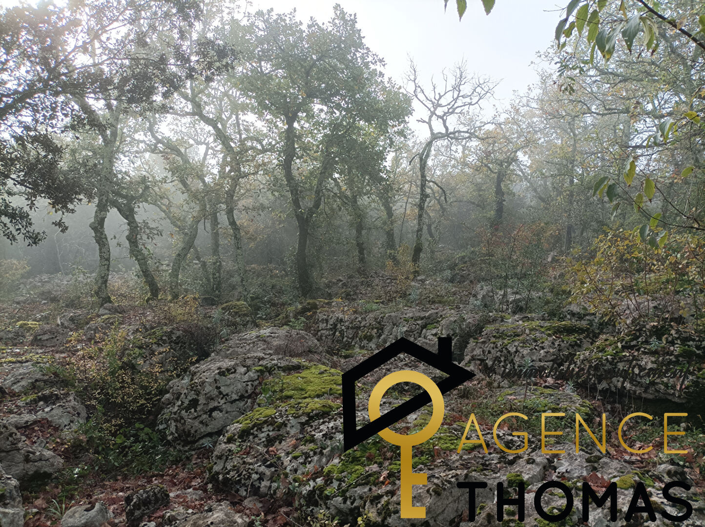 Photo terrain constructible sur LABEAUME image 2/4