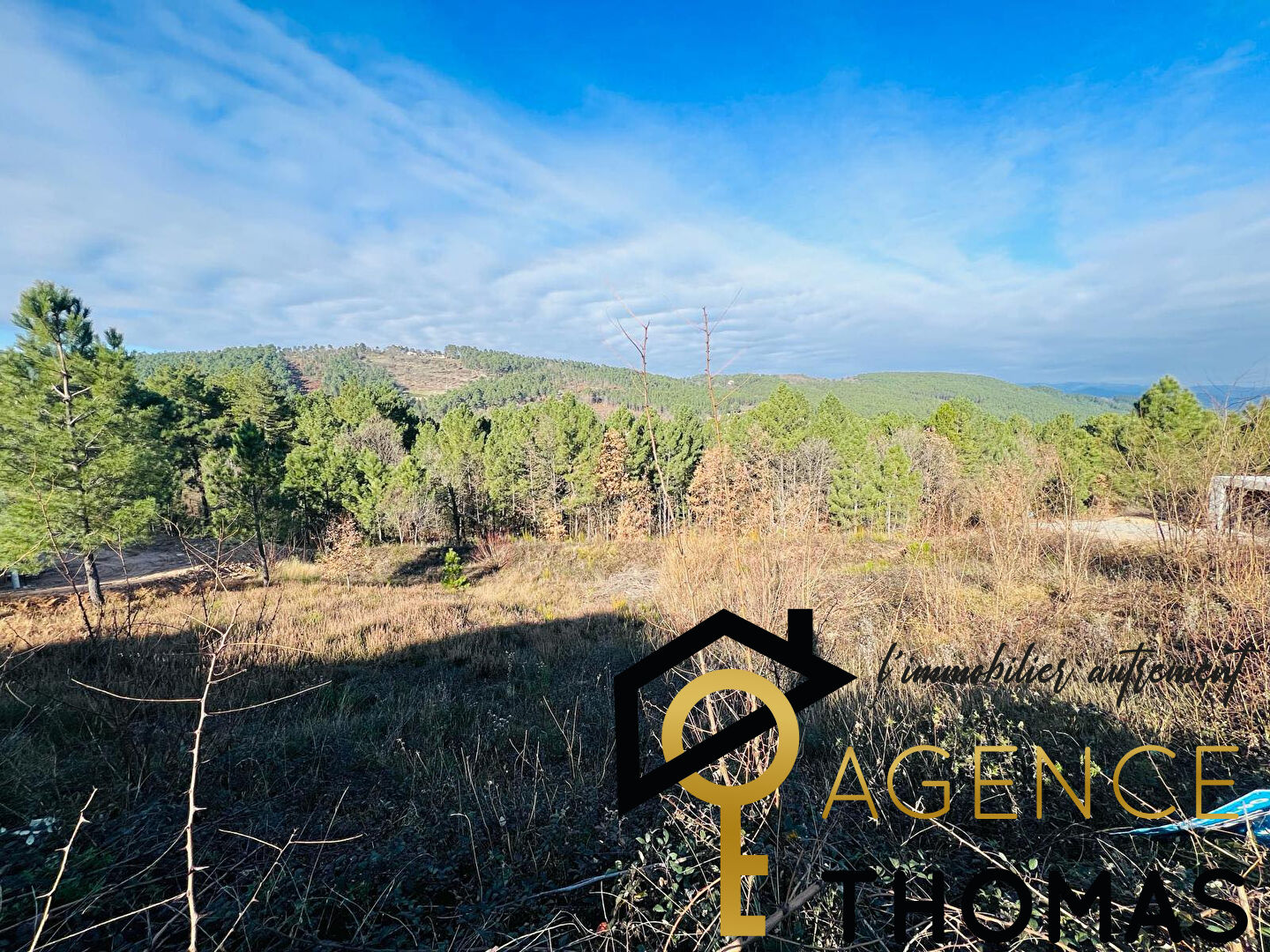 Photo Terrain Viabilisé 1818m2 - MERCUER image 5/5