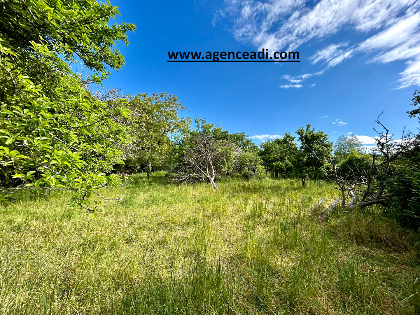 Terrain Souvigne 1 275 m2