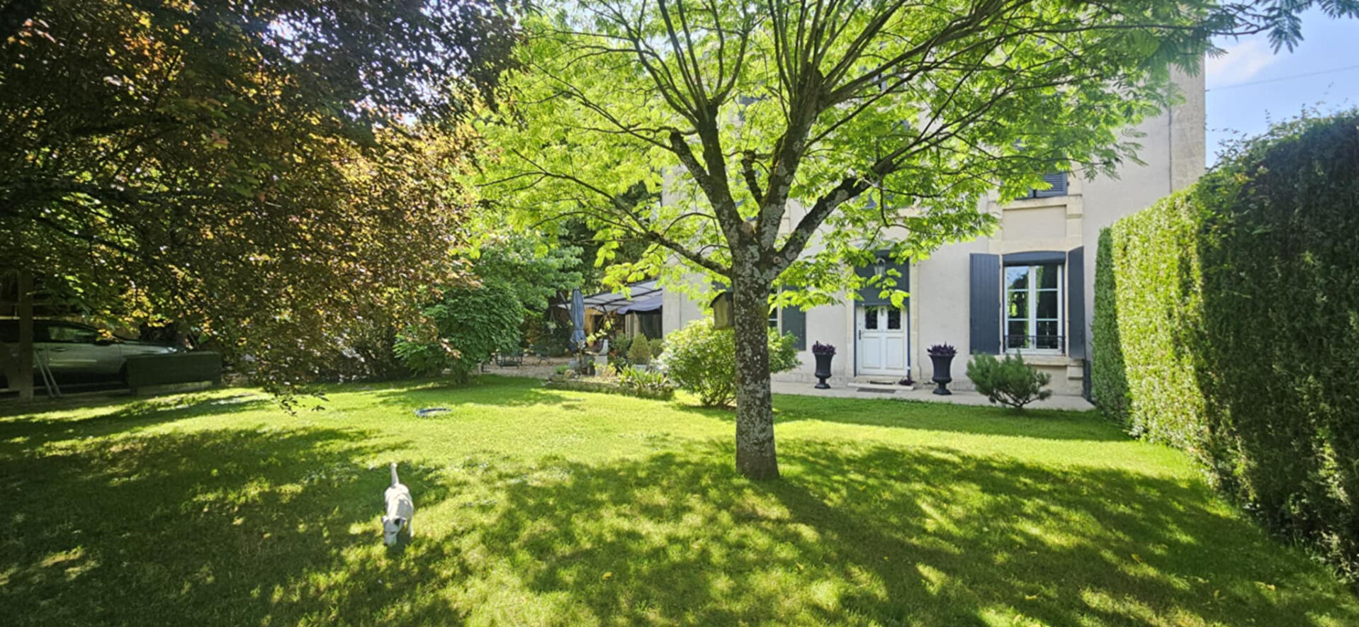 Agence immobilière de AGENCE ADI IMMOBILIER - AGENCE ADI IMMOBILIER ST MAIXENT L ECOLE