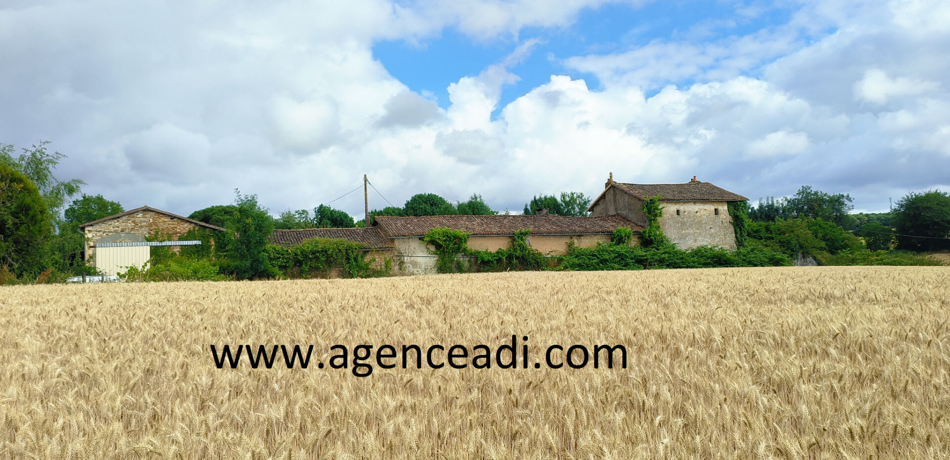 Agence immobilière de AGENCE ADI IMMOBILIER - AGENCE ADI IMMOBILIER LA MOTHE ST HERAY
