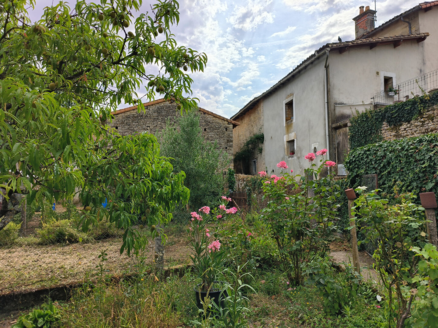 Agence immobilière de AGENCE ADI IMMOBILIER - AGENCE ADI IMMOBILIER LA MOTHE ST HERAY