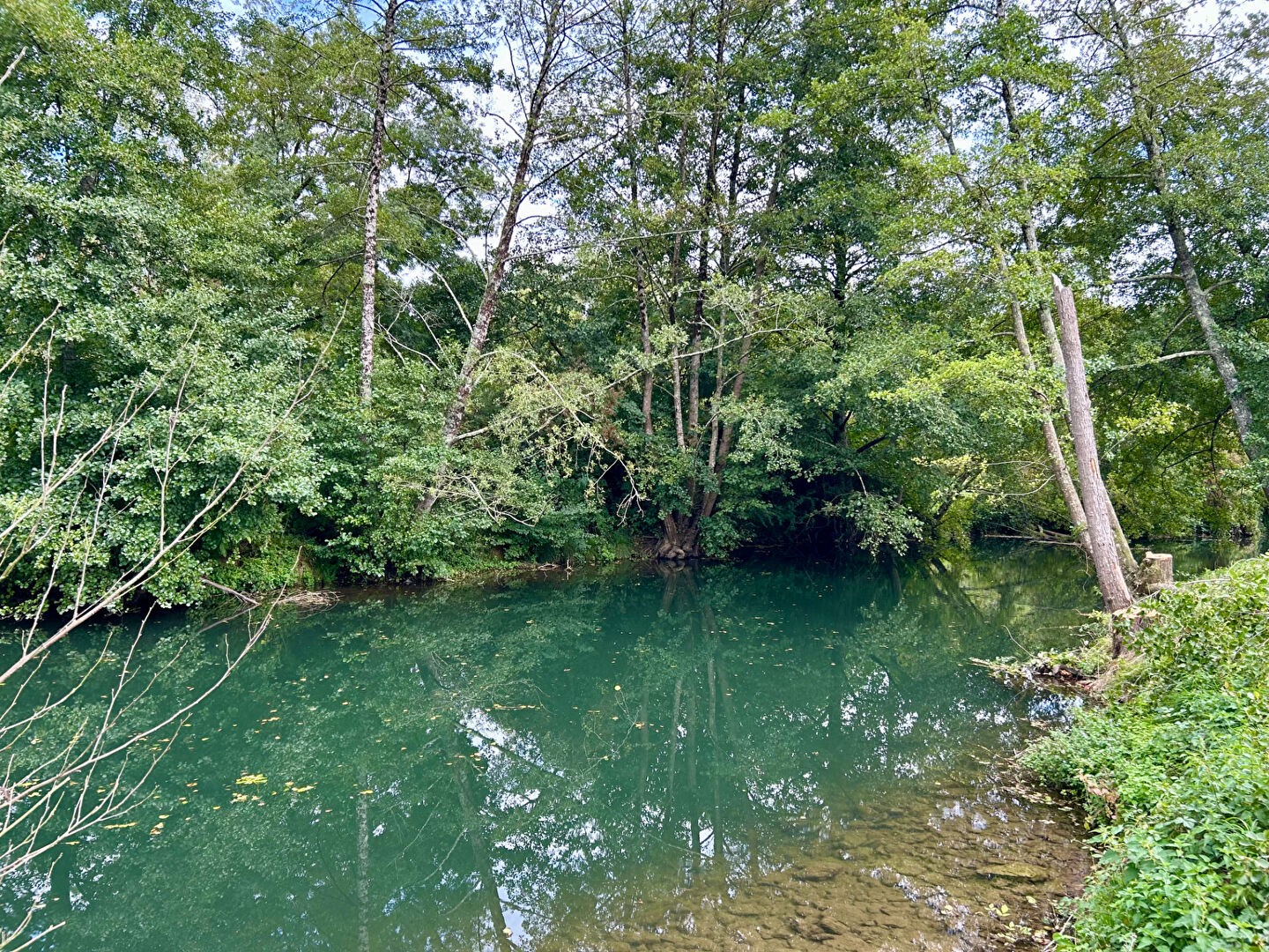 Photo Terrain de loisirs  bord de Sèvre 1 719 m² La Creche image 2/3