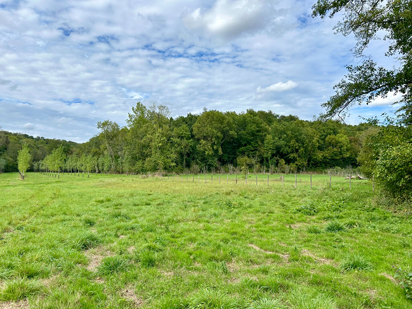Photo Terrain de loisirs  bord de Sèvre 1 719 m² La Creche image 3/3