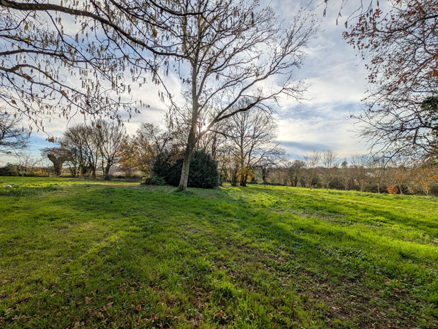 Photo Charmante maison en pierres image 3/6