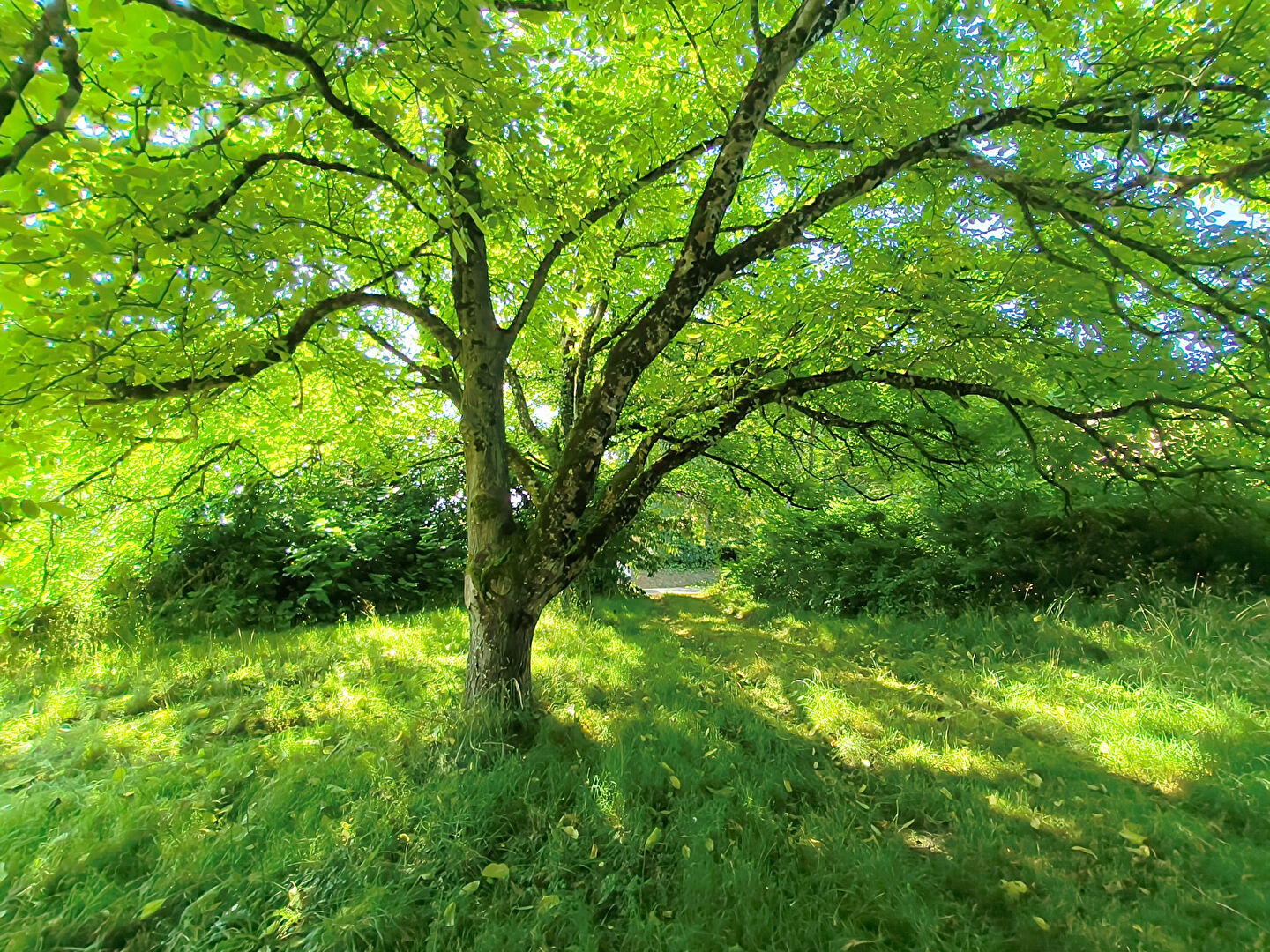 Agence immobilière de AGENCE ADI IMMOBILIER - AGENCE ADI IMMOBILIER LA MOTHE ST HERAY