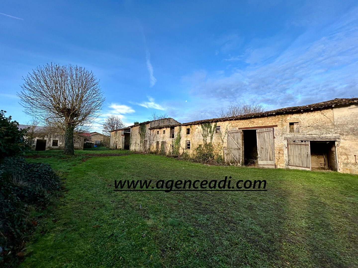 Photo Maison Romans 5 pièce(s) 250 m2 image 1/6