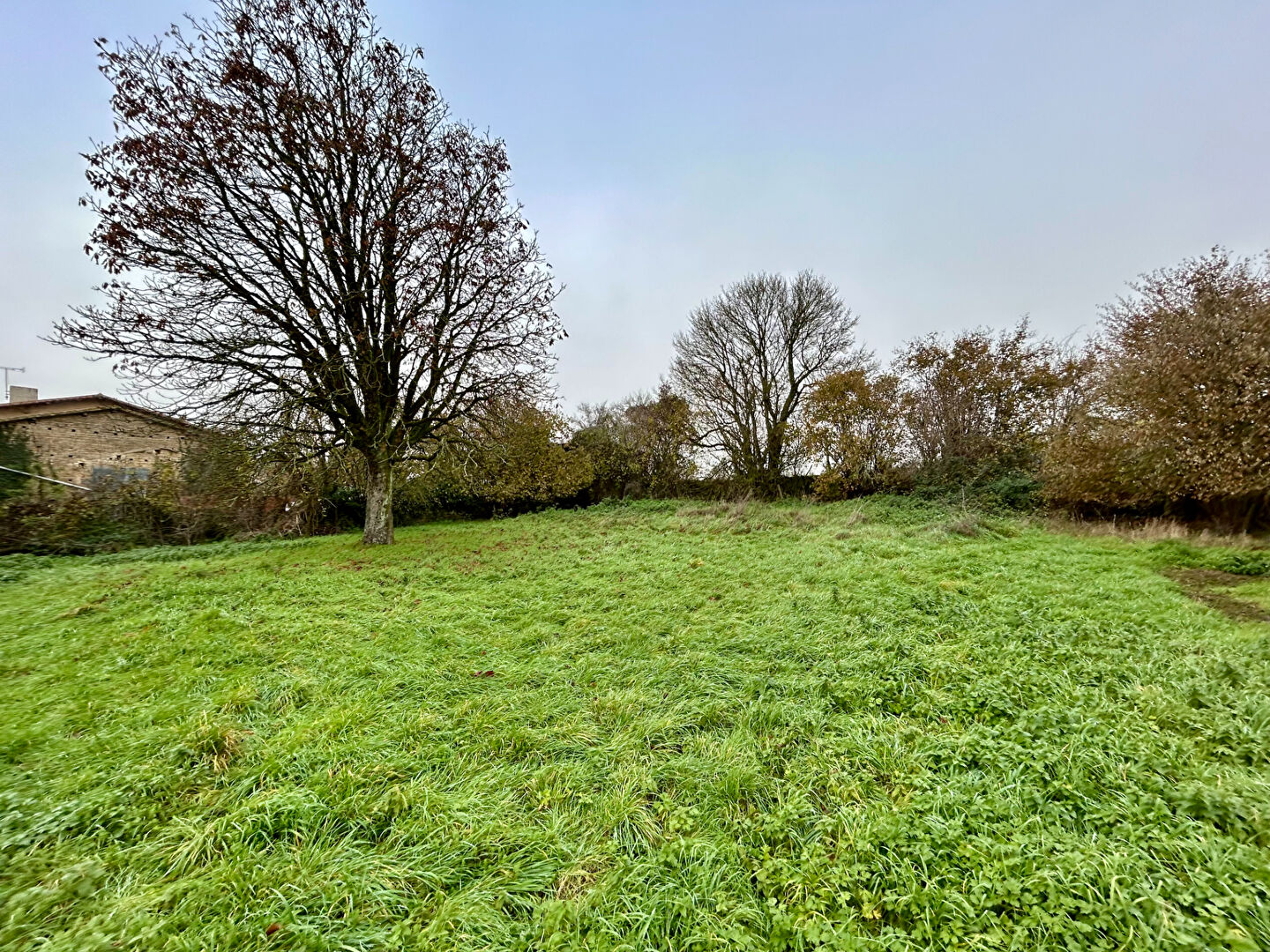 Photo Maison Romans 5 pièce(s) 250 m2 image 5/6