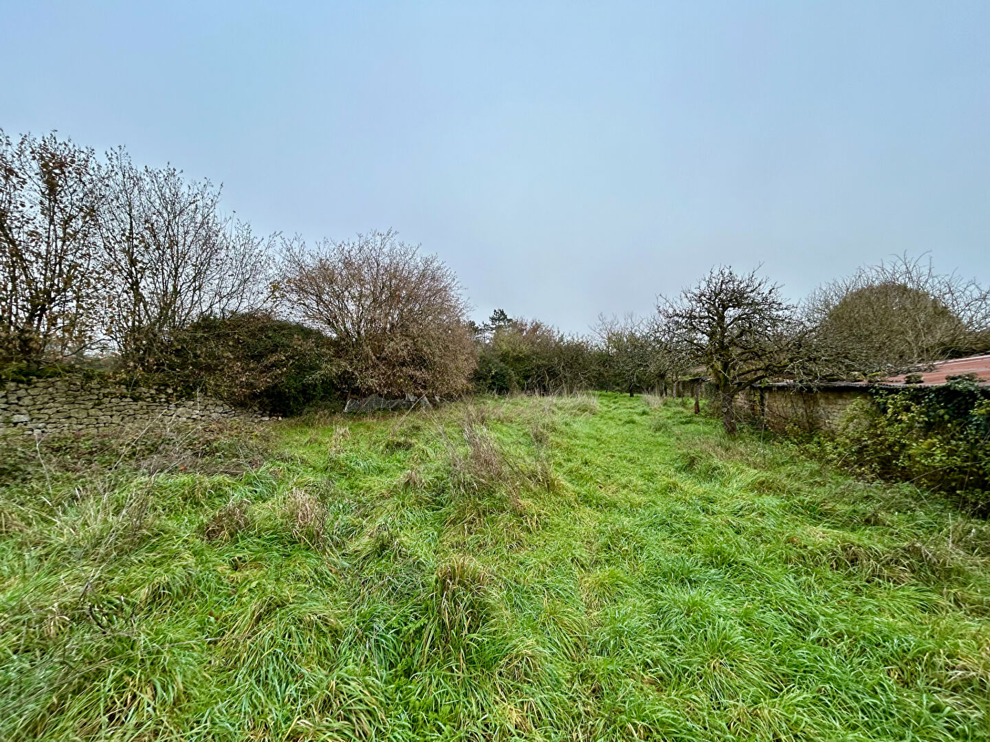 Photo Maison Romans 5 pièce(s) 250 m2 image 6/6